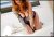 Topkapı Escort