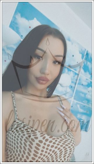 avcilar escort bayan