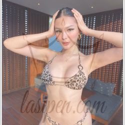 beylikdüzü escort bayanlar (2)